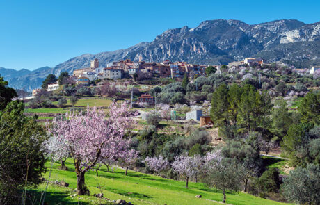 Alfara de Carles