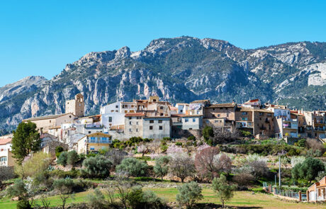 Alfara de Carles