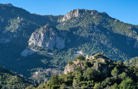Alfara de Carles