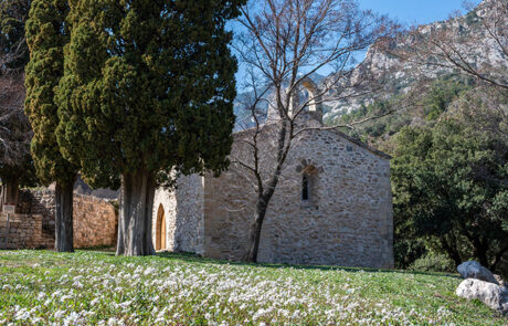 Alfara de Carles
