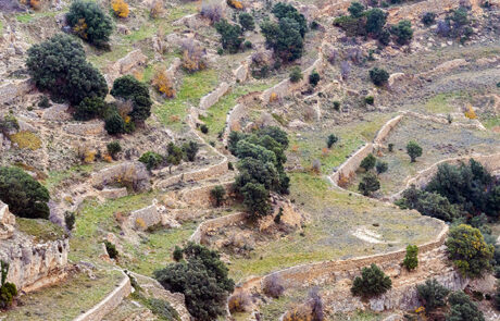 Ares del Maestrat
