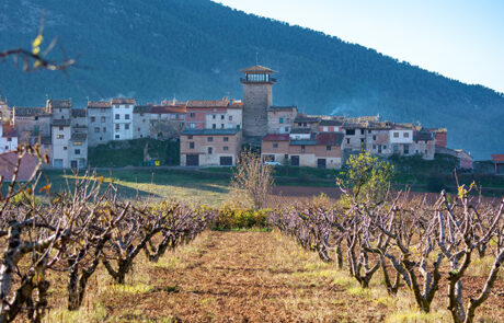 Fuentespalda
