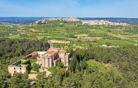 Horta de Sant Joan
