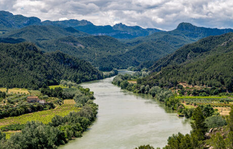 Miravet
