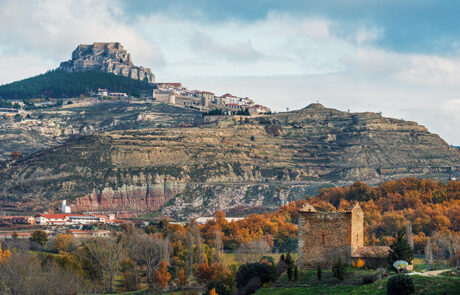 Morella