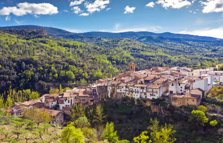 Vallibona