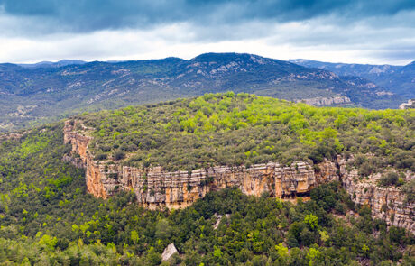 Vallibona