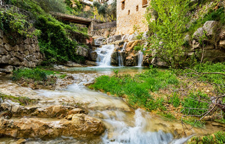 Vallibona