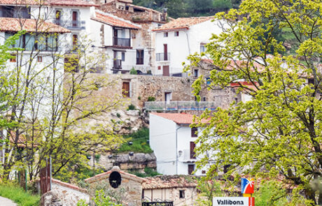 Vallibona
