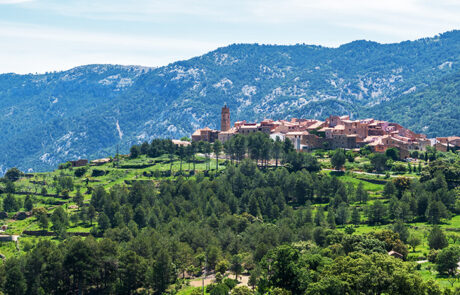 Pobla de Benifassà