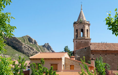 Aliaga