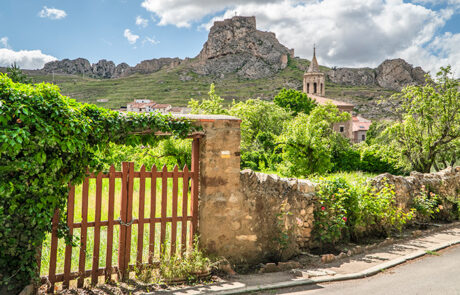 Aliaga