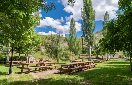 Aliaga