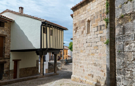 Morella