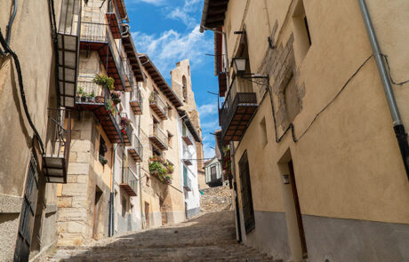Morella