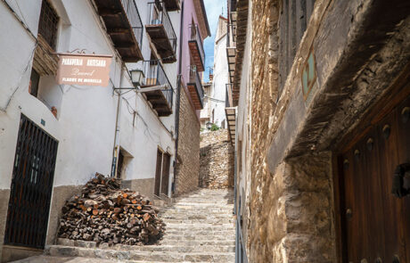 Morella
