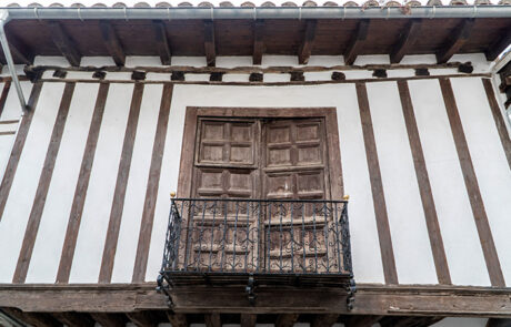 Morella