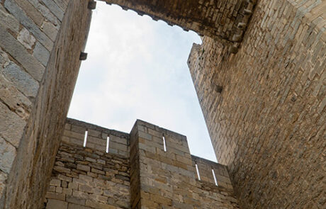 Morella