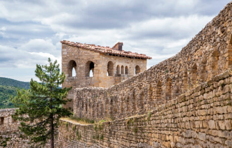 Morella