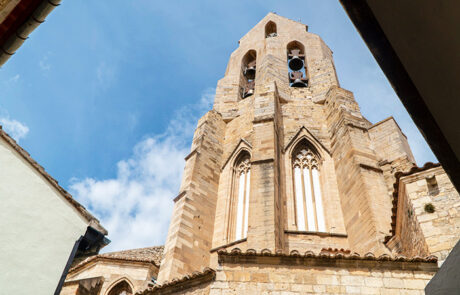 Morella