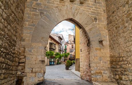 Morella