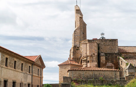 Morella