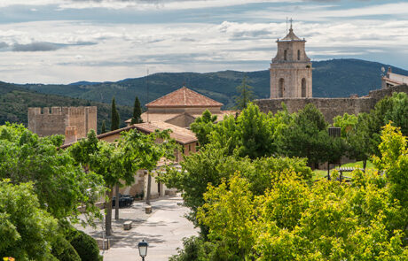 Morella