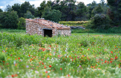 Valderrobres